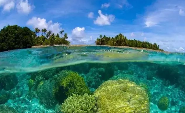 GK落败王者冠军杯《钓鱼冒险岛》新版本爆料