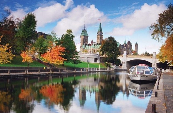 蚂蚁森林回应质疑2019年已完成种植