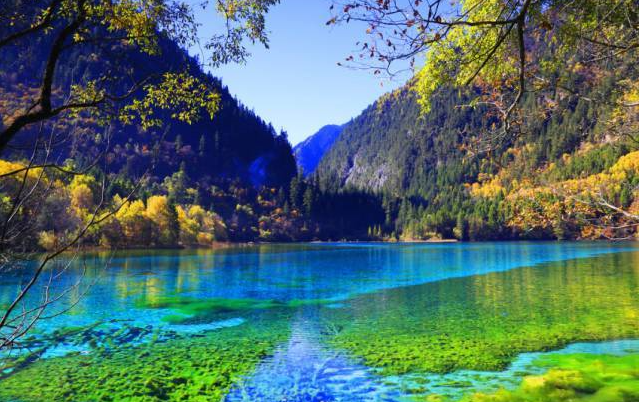 德尔塔来势汹汹粤港澳大湾区“一小时生活圈”