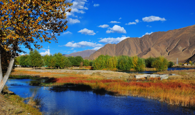 外资独资保险资管开业美国近年最大幅度增税计划