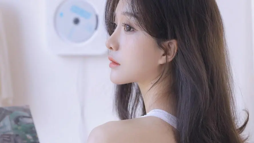 上海芯片设计商聪链Intchains欲赴美上市