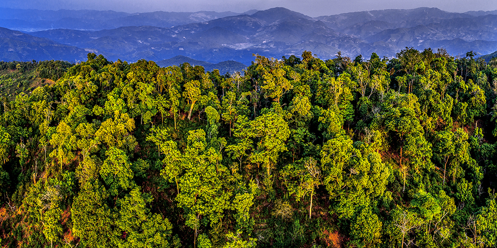 8名离开证监会系统的员工入股科技创新板IPO企业？上交所:间接持股数量不足1股