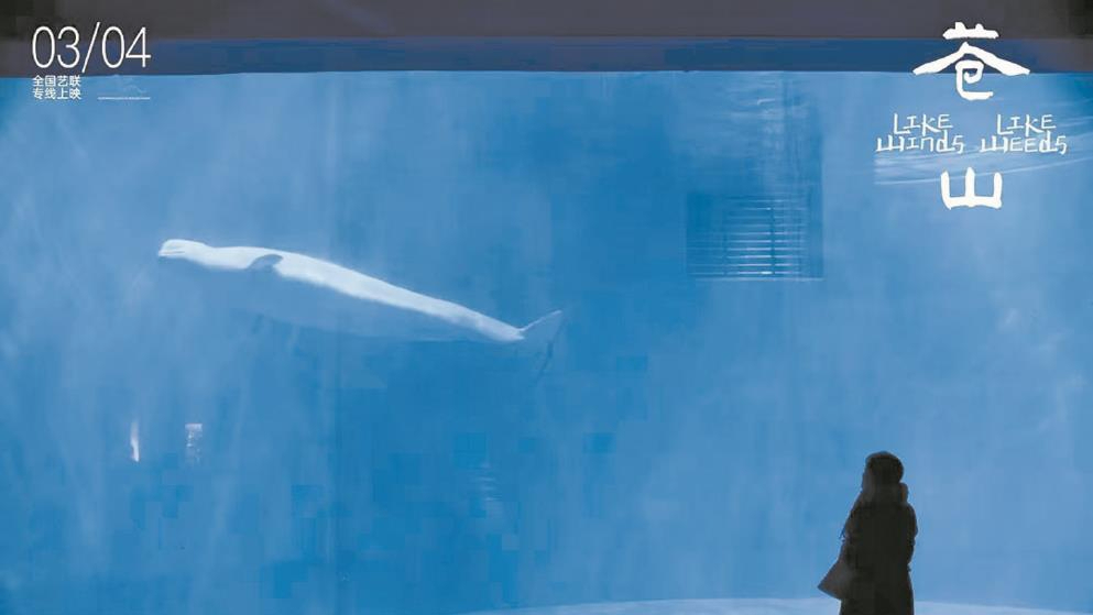 大反转！具俊晔不装了？S妈疑发文暗讽他，空手而来满载而归