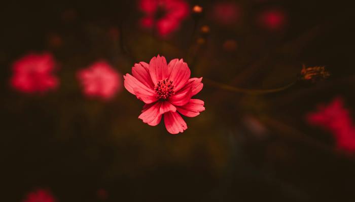 重庆，将诞生一个2000亿IPO