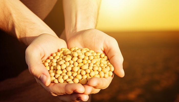 宇树机器人，又有一“搞钱杀招”