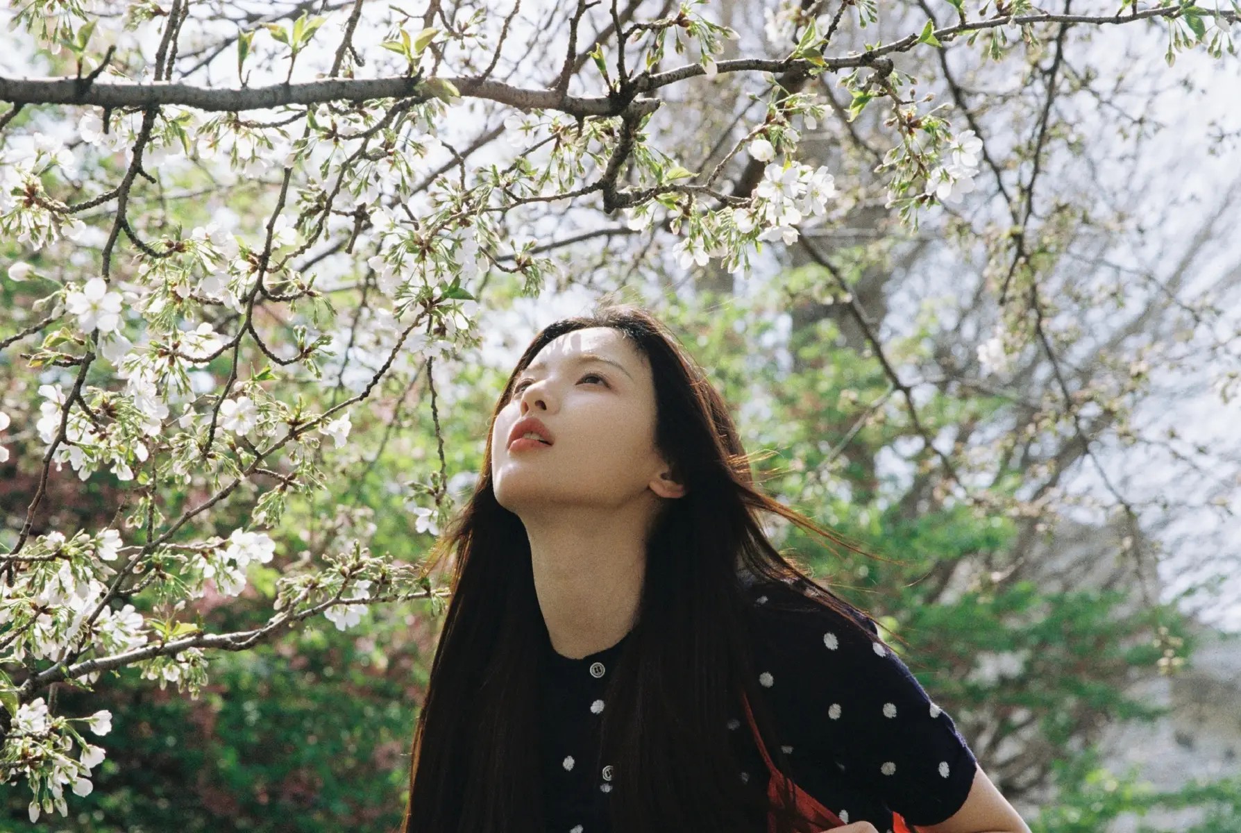 国内赚钱国外花！67岁周卫星二婚娶外国女子，小女儿4岁二女儿9岁