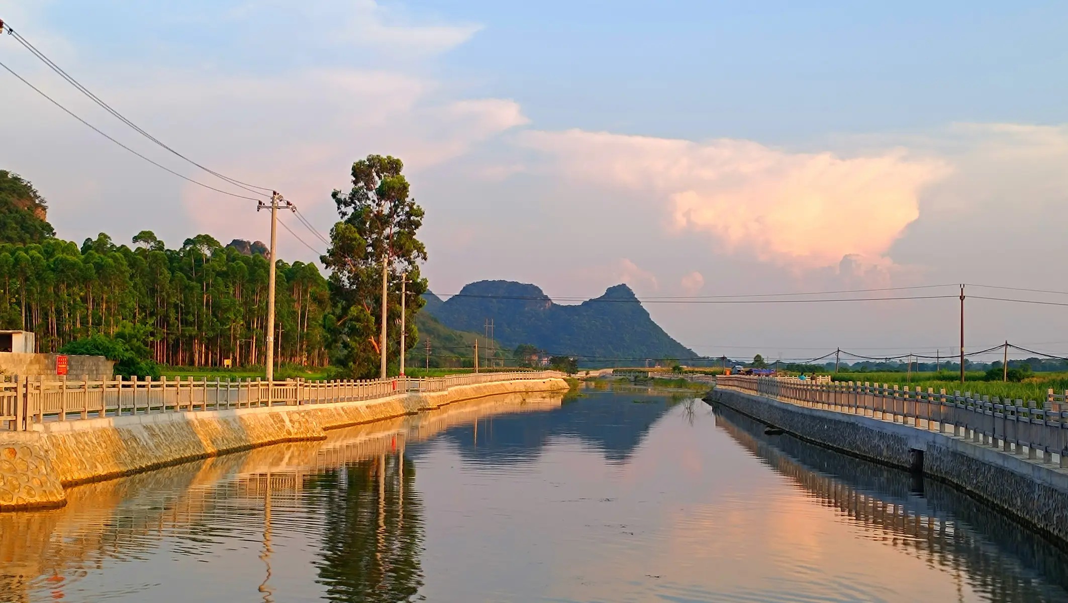 刘德华携亲友助阵表妹新店开业，豪门社交引关注