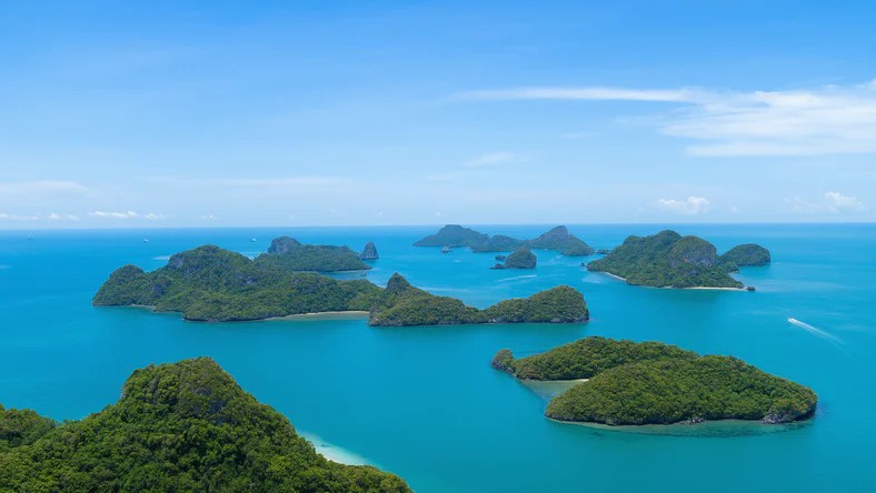 增量来了，英伟达启用 800V 电源，谁受益？